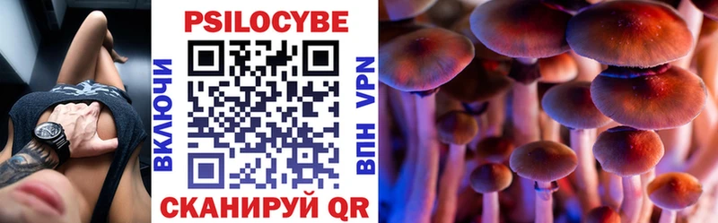 дарнет шоп  Бугуруслан  Псилоцибиновые грибы Magic Shrooms 