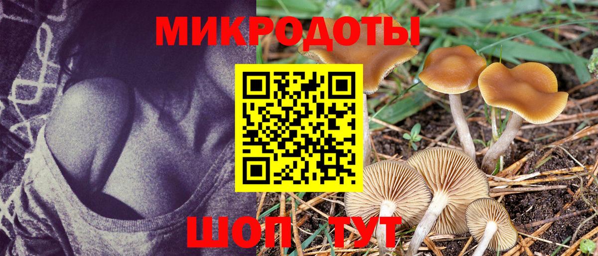 Галлюциногенные грибы Psilocybine cubensis  купить закладку  Бугуруслан  Вход с VPN  Псилоцибиновые грибы ЛСД 